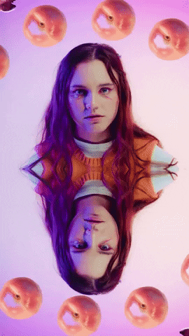 Sycco GIF