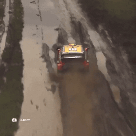 Mud Driving GIF by FIA World Rally Championship