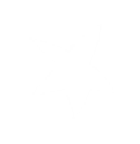 Christmas Star Sticker by hush homewear