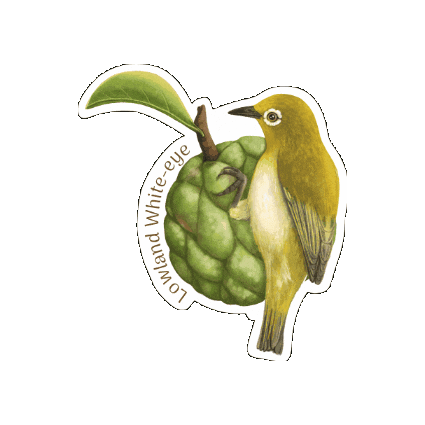 Atis Sticker