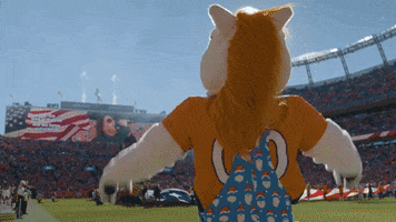 Celebrate National Football League GIF by Broncos