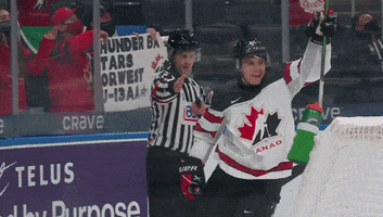 Happy Team Canada GIF by International Ice Hockey Federation
