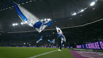 Football Win GIF by FC Schalke 04