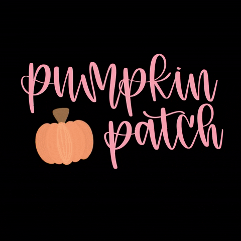 Pumpkin Patch Illustration GIF