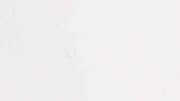 Rio Clima GIF by climariooficial