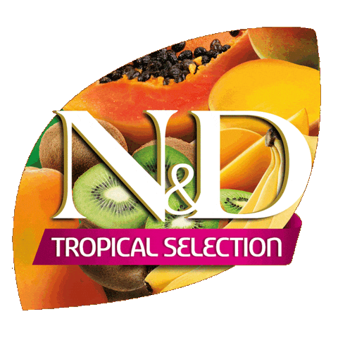 Genius Happypet Sticker by Farmina Pet Foods