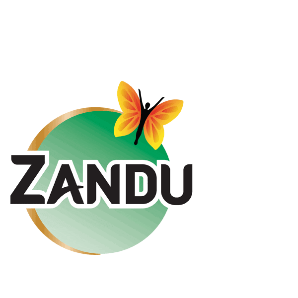 Zandu Pain Relief Sticker
