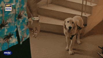 Arydigital GIF