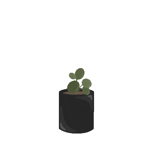 Plants Grow Sticker