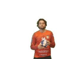 Sport Handball Sticker by Hazebrouckhandball