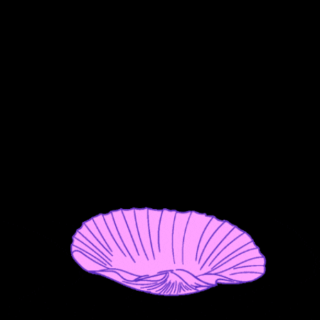 Quaresminha GIF
