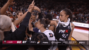 Wnba Playoffs Sport GIF by WNBA