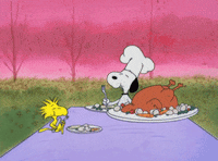 charlie brown thanksgiving gif