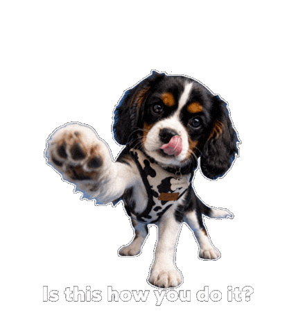 Reach Trying Sticker