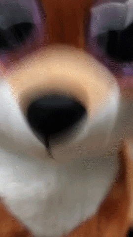 Foxglove GIFs - Get the best GIF on GIPHY