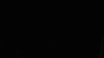 SocialFlixx GIF