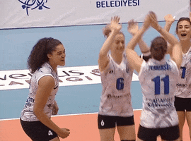 Celeste Plak Volleyball GIF by Aydın Büyükşehir Belediye Spor Kulübü