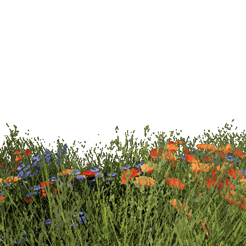 Summer Flower Sticker