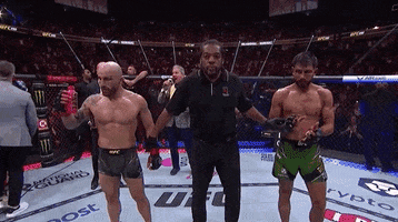 The Great Sport GIF by UFC