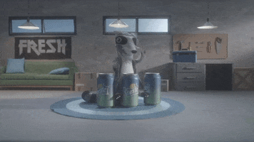 Raccoon GIF by sprite_br