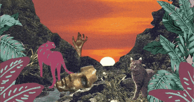 Wild GIF