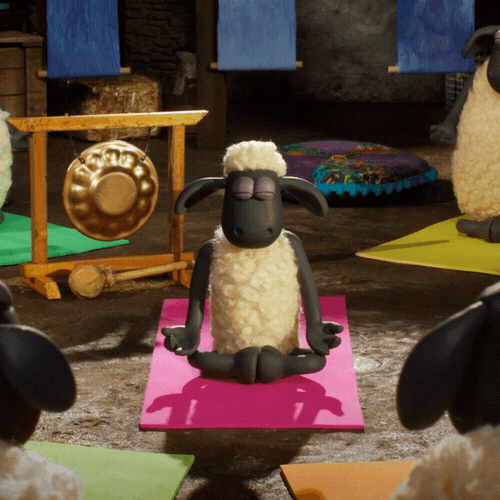 Shaun The Sheep Reaction GIF by Aardman Animations - Find & Share on GIPHY