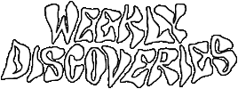 Share Discover Sticker by Justine Figueiredo