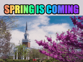 School Blooming GIF by University Of Lynchburg