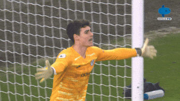 Chelsea Ligainggris GIF by MolaTV