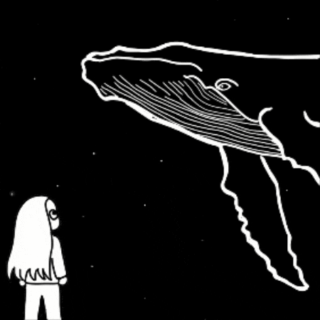 Dream Whale GIF