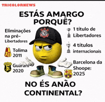 Copa Do Brasil Santos GIF