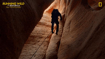 Running Wild Adventure GIF by National Geographic Channel