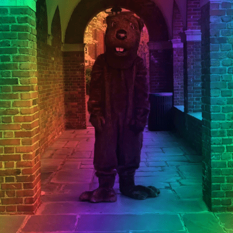 pride beaver GIF by Welcome to the BVR Dam