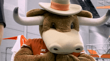 Diving Swimming GIF by Texas Longhorns