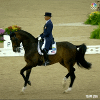 Sport Horse GIF by Team USA