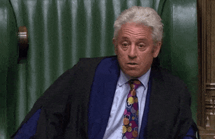 House Of Commons No GIF by GIPHY News