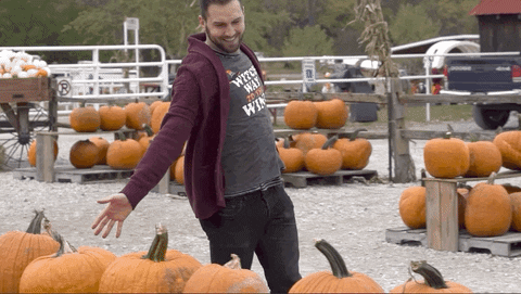 Pumpkin Season GIFs - Get the best GIF on GIPHY