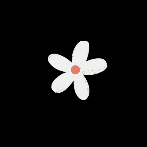 Flower Daisy GIF