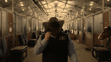 Cowboy Yellowstone GIF by Cardinal Group Management