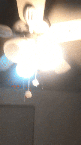 Trello Sticker For Ios Android Giphy Trello Sticker For Ios Android Giphy, What To Do When Water Comes Through A Light Fixture