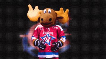 marty moose represent GIF by Newcastle Northstars