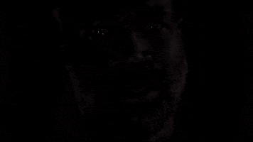 Tunde Adebimpe Neonrated GIF by NEON
