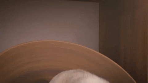 Tired Time For Bed GIF by MightyMike - Find & Share on GIPHY