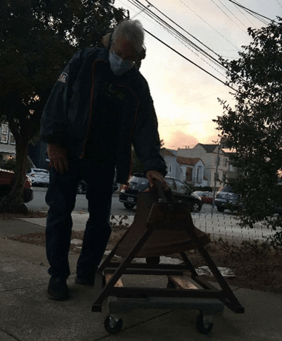 Dailybell GIF