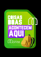 Educacao Bilingue GIF by Colégio Monte