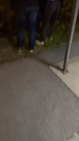 Kristian Falt GIF