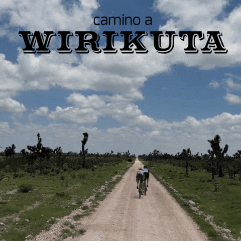 Cycling GIF by Gravel México