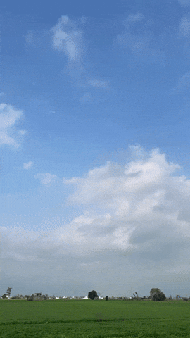 Wow GIF