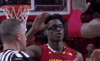 High Five College Sports GIF by Maryland Terrapins