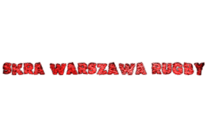 Sport Rugby Sticker by skrawarszawa